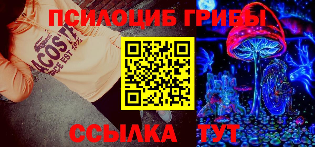 Сертолово  Галлюциногенные грибы MAGIC MUSHROOMS  Вход с VPN 